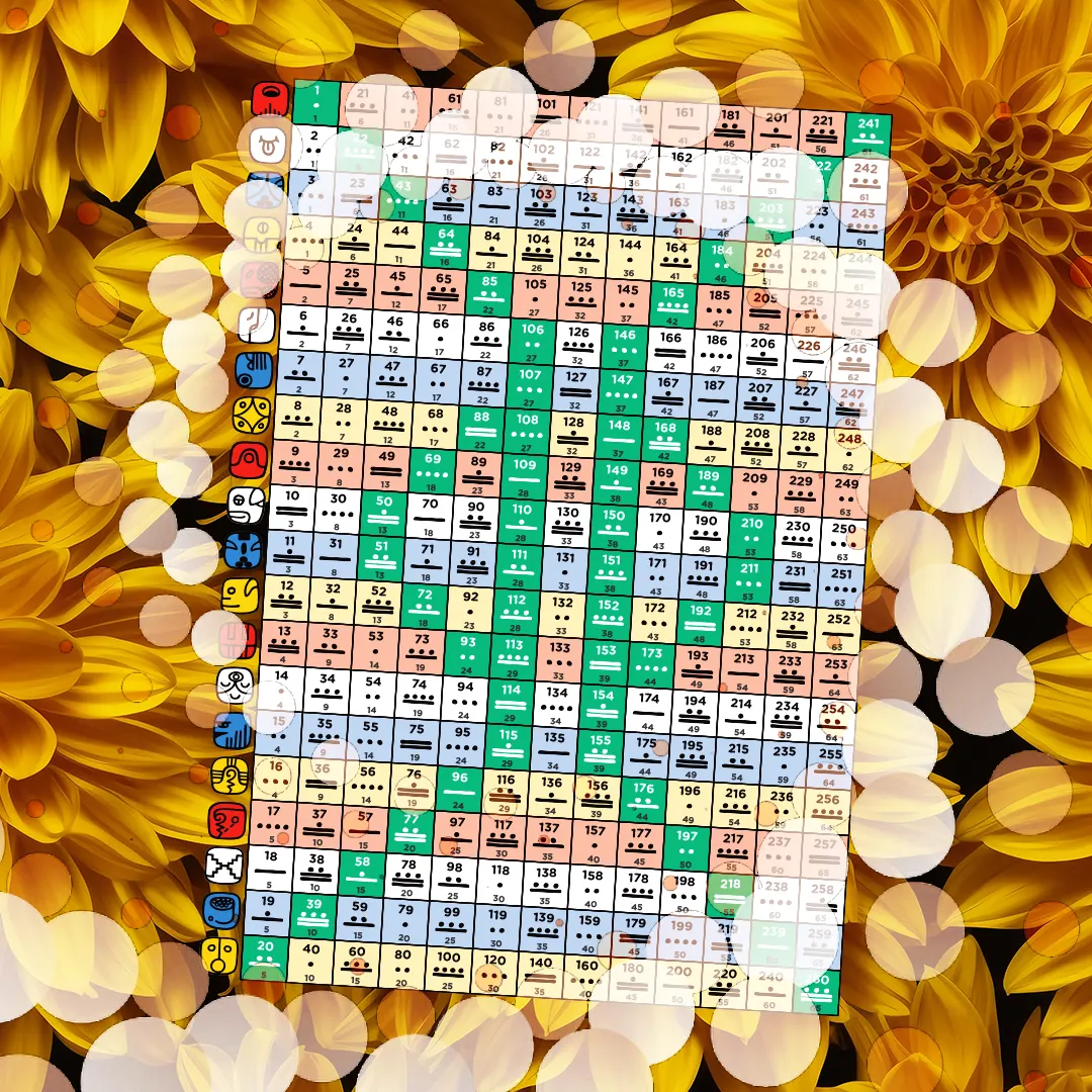Lo Tzolkin 2 nuovo tzolkin
